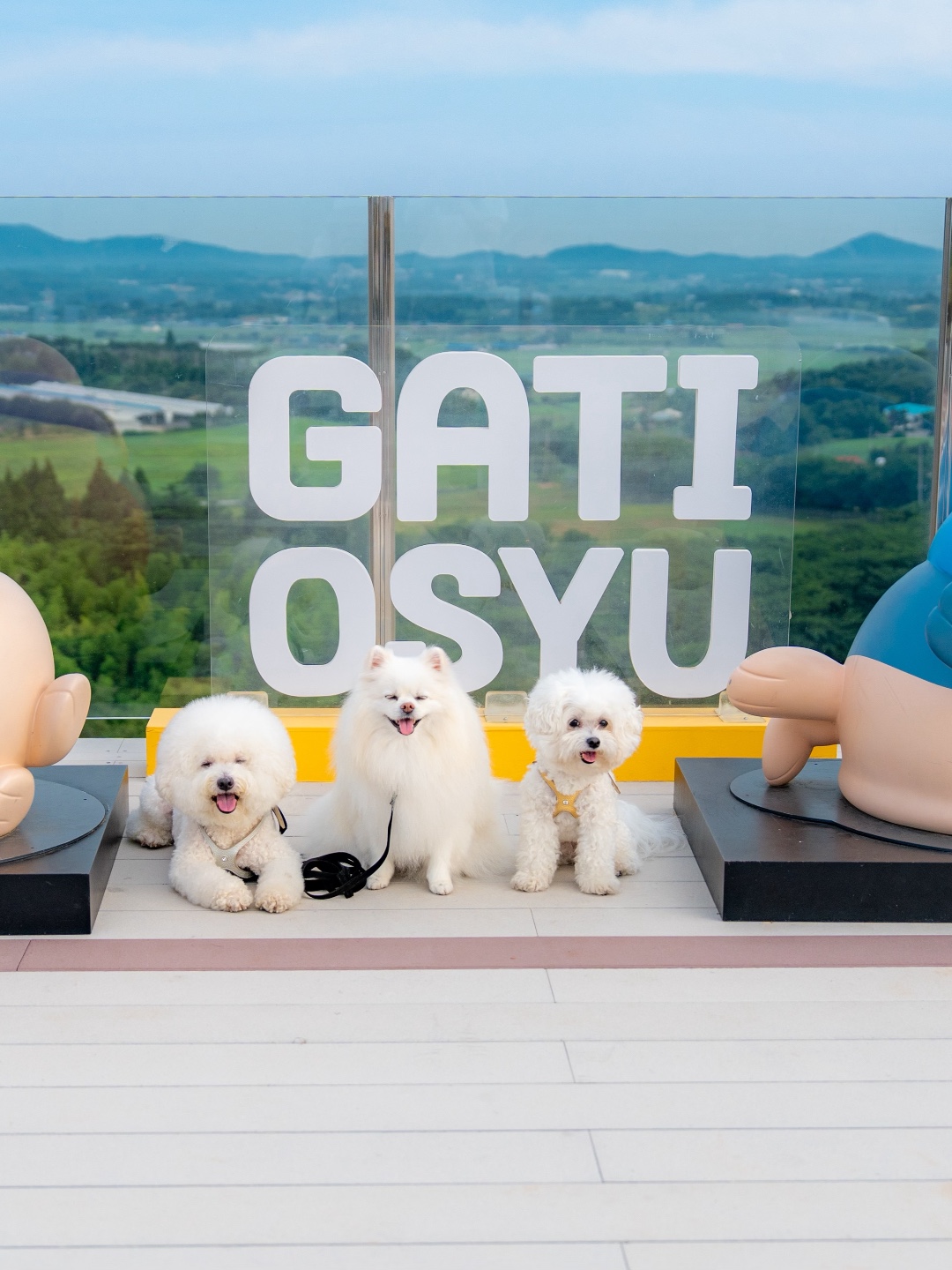 함께할개사랑할개 9