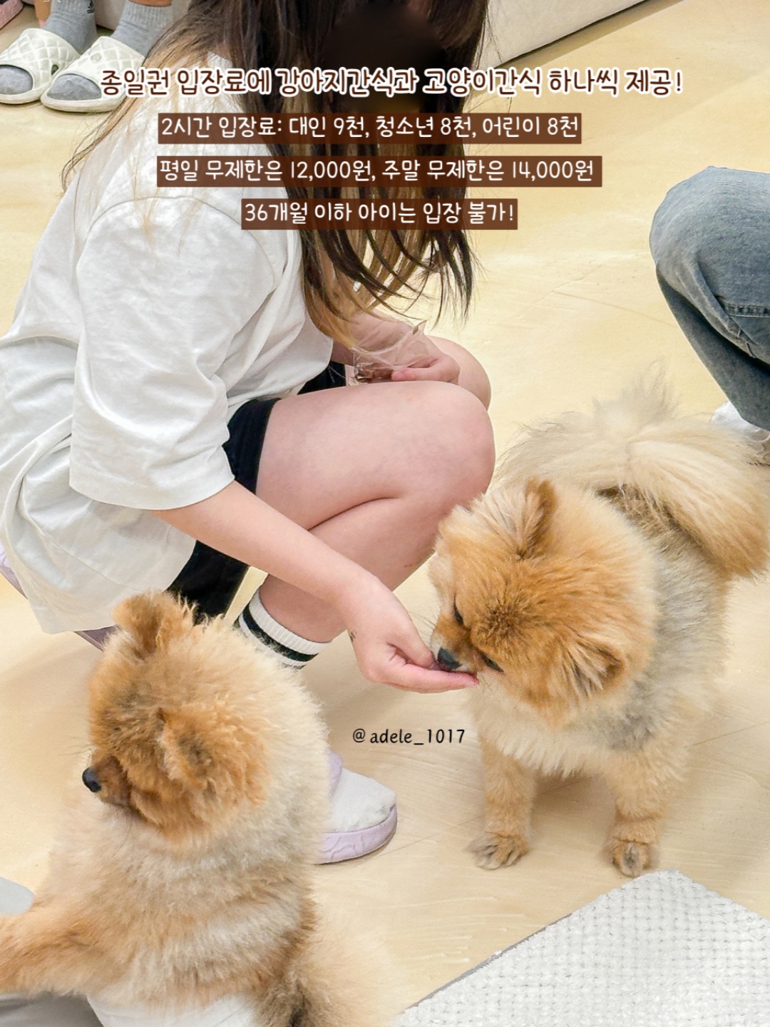 로스터리봄다방 9