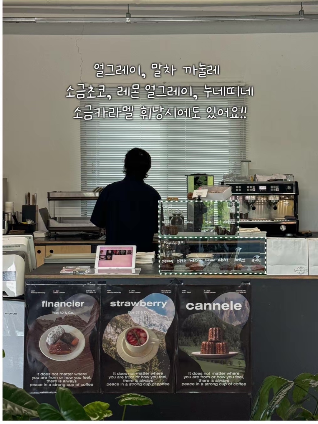강세구 전라 애견숙소