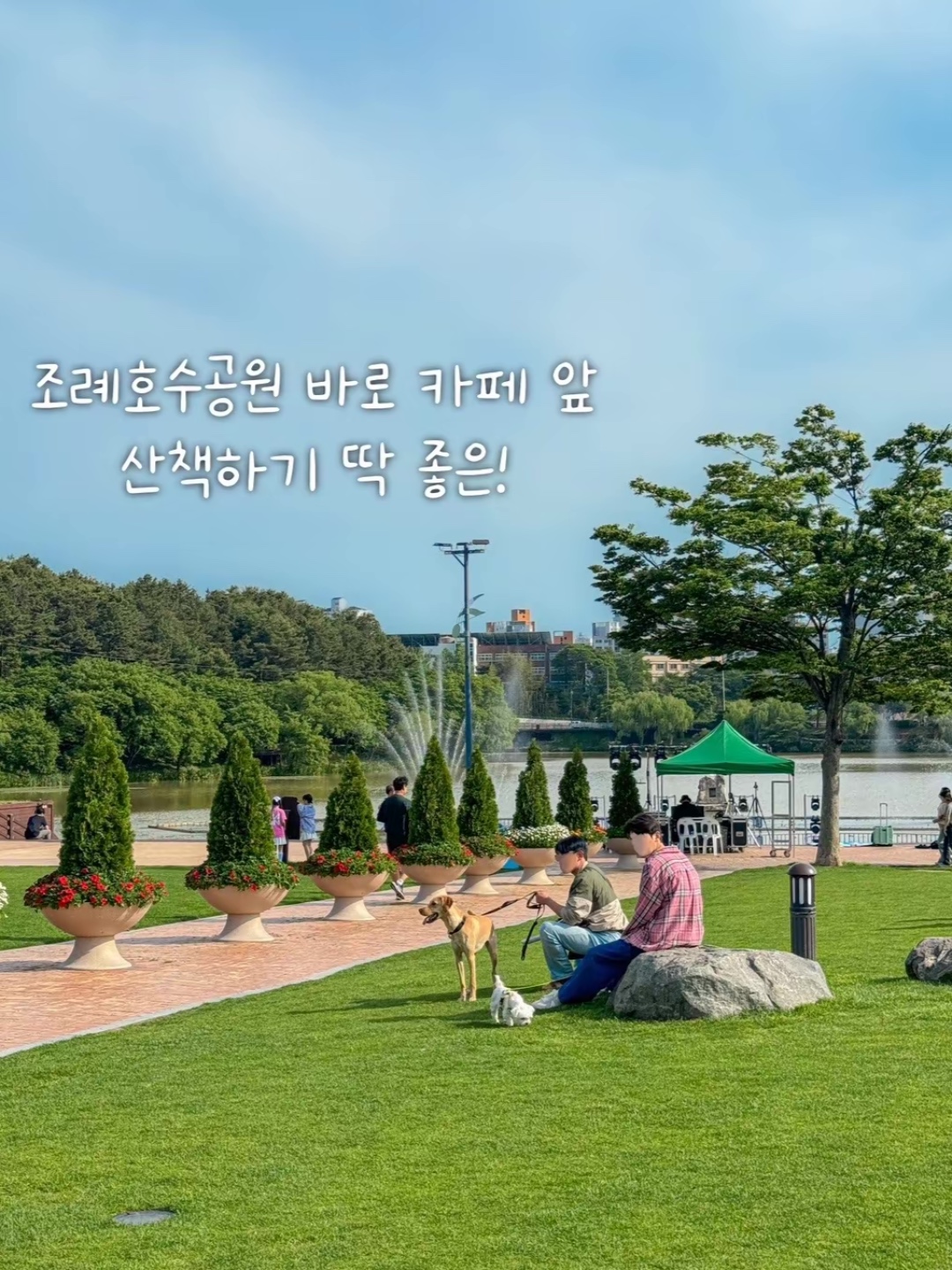 강세구 2