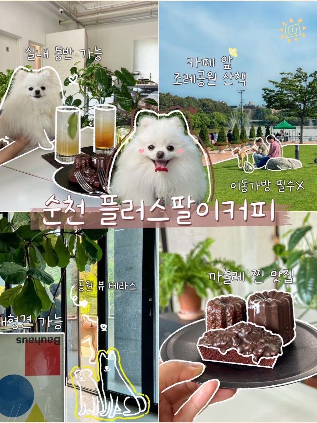 강세구 4