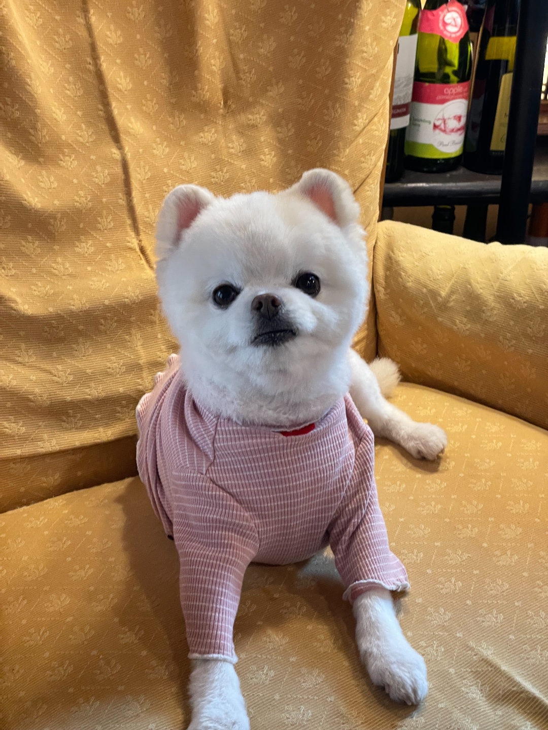 머뭄빌리지 10