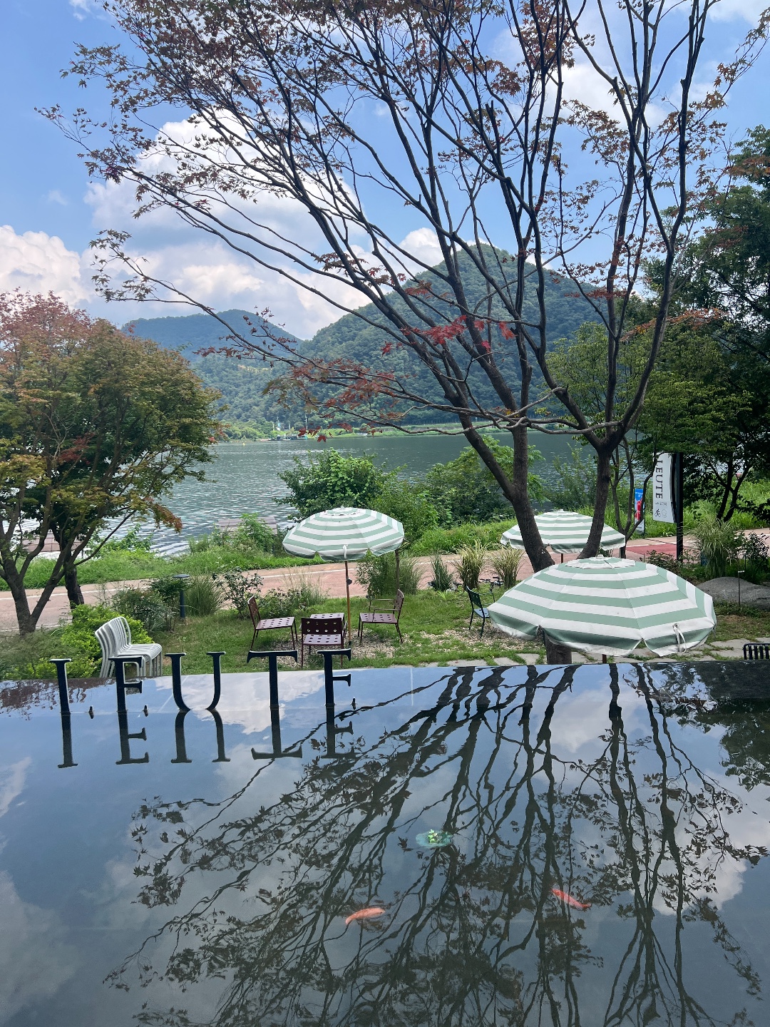 로이테 3