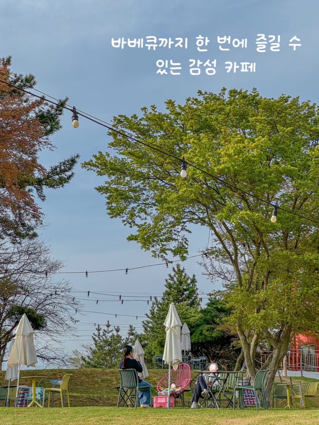 가을빛묵은지 3