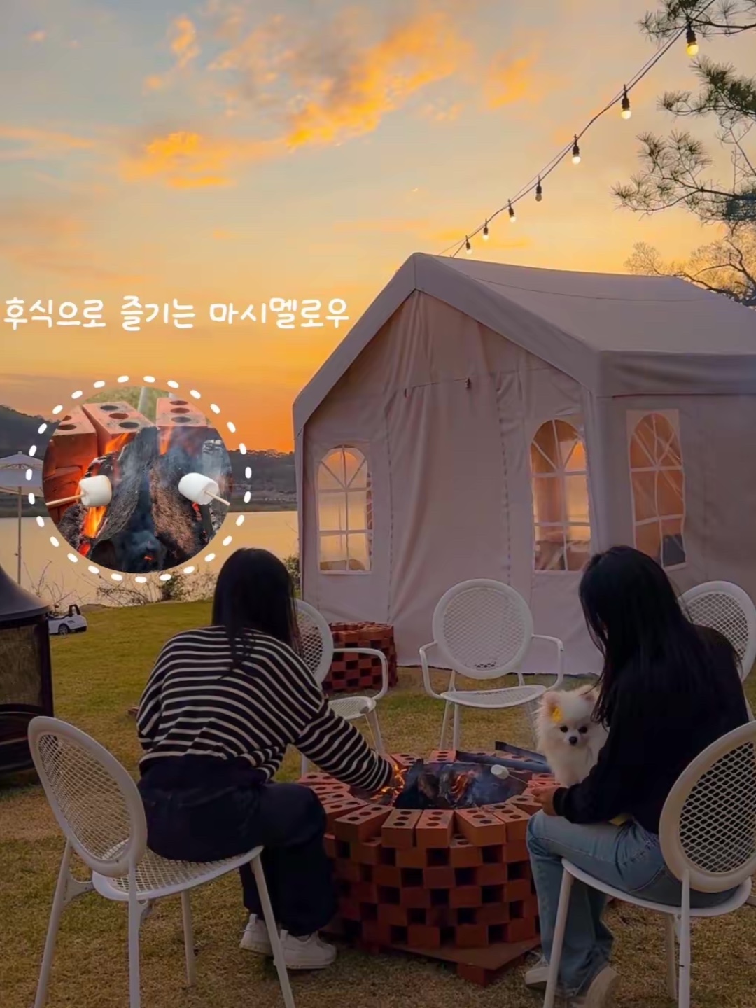 가을빛묵은지 반려동물 동반 애견카페