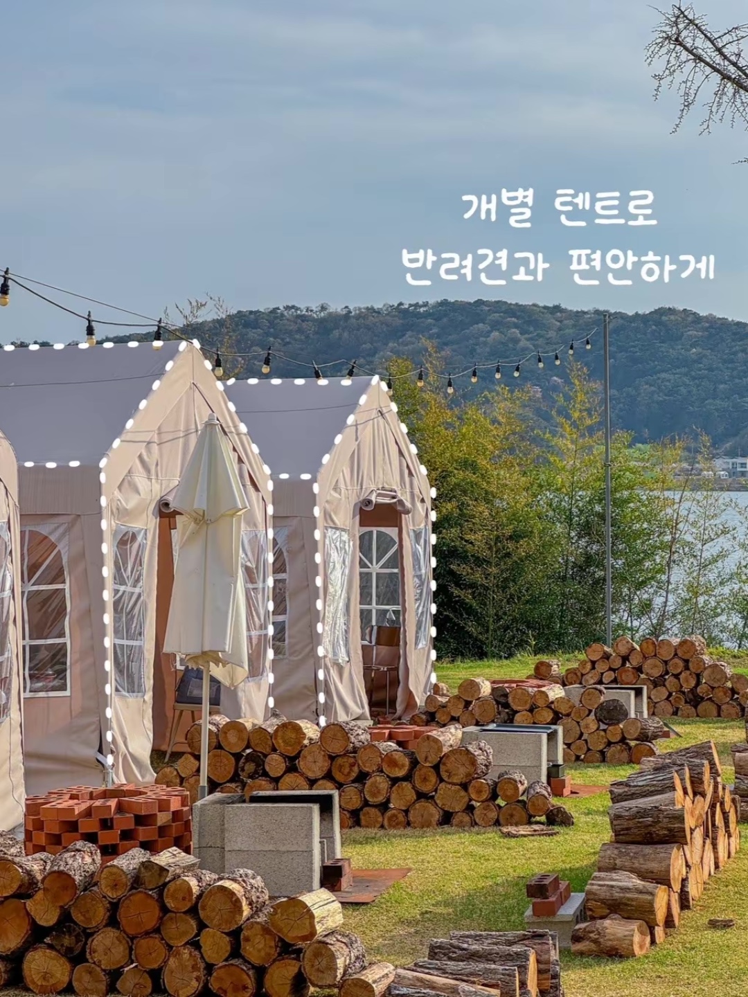 가을빛묵은지 2