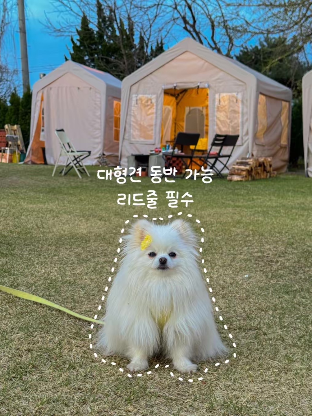 가을빛묵은지 전라 애견맛집