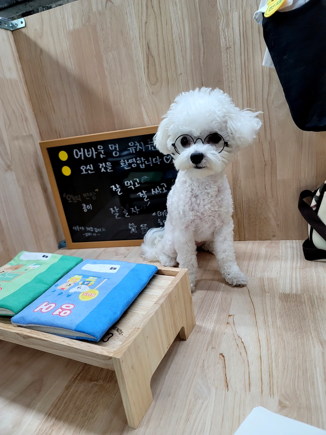 언더독 5
