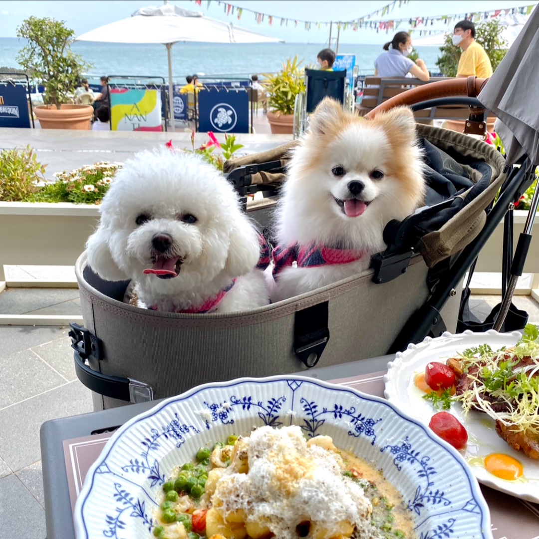 또멍냥 2