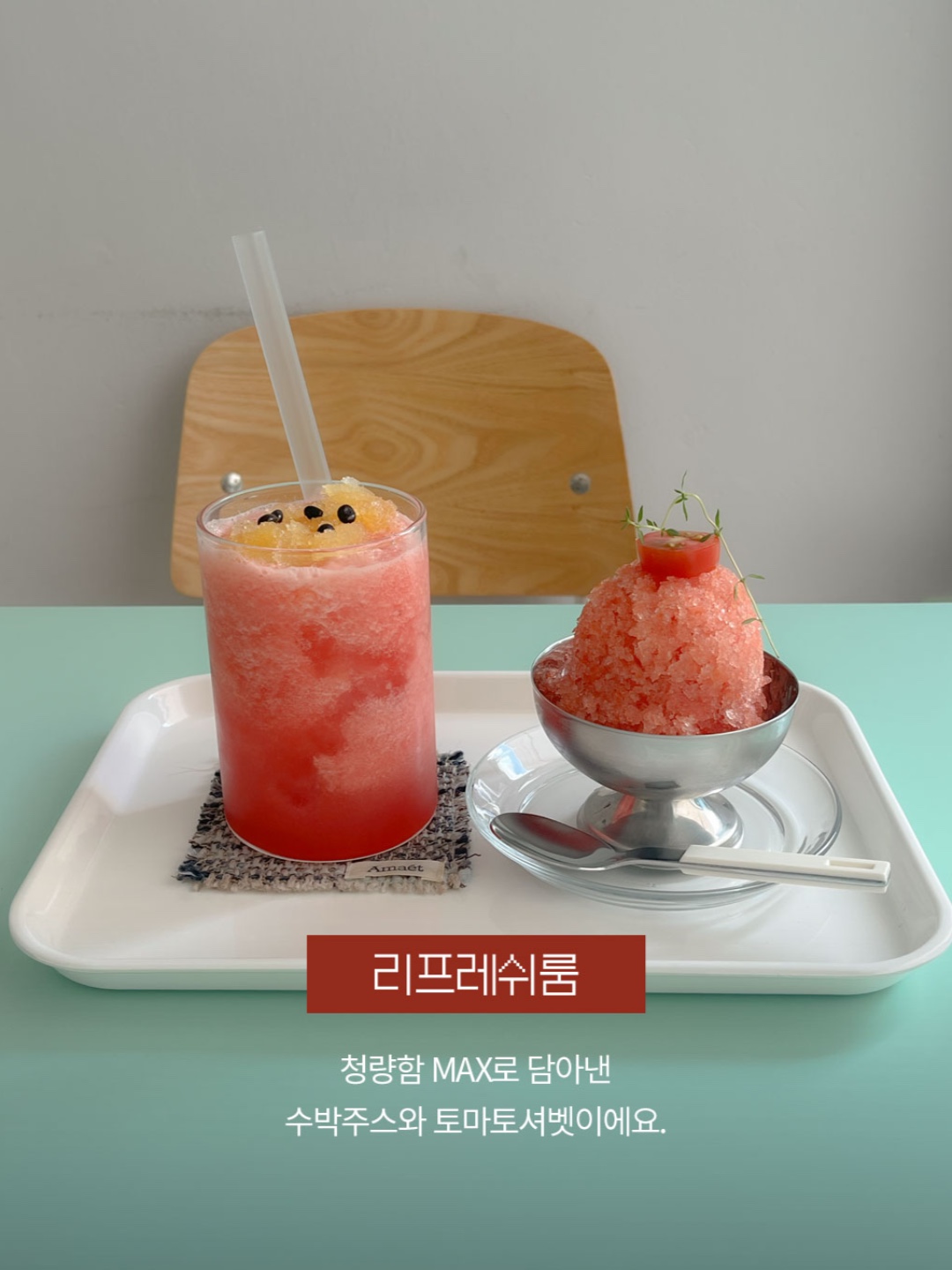 펫라운지 5