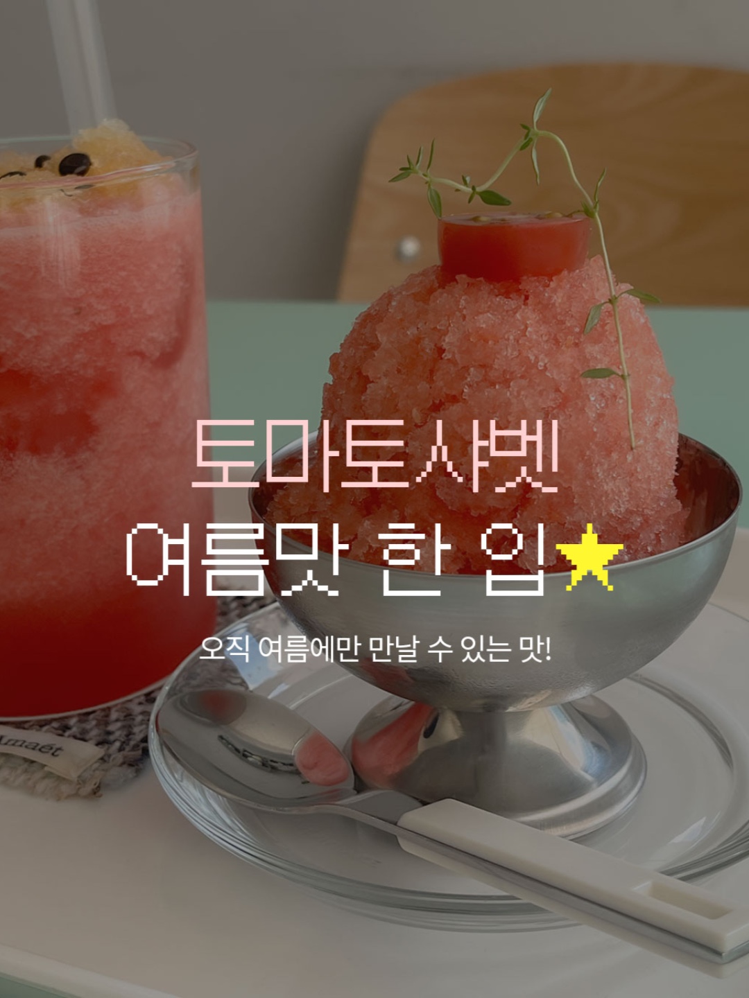 펫라운지 반려동물 동반 애견카페