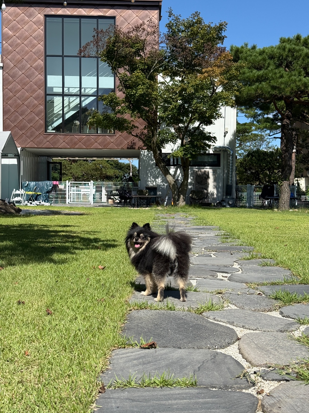 카페 테라스9 8