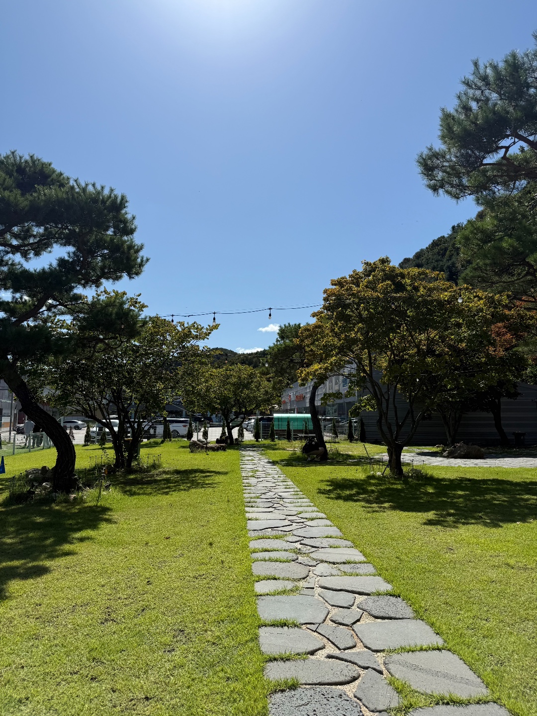 카페 테라스9 6
