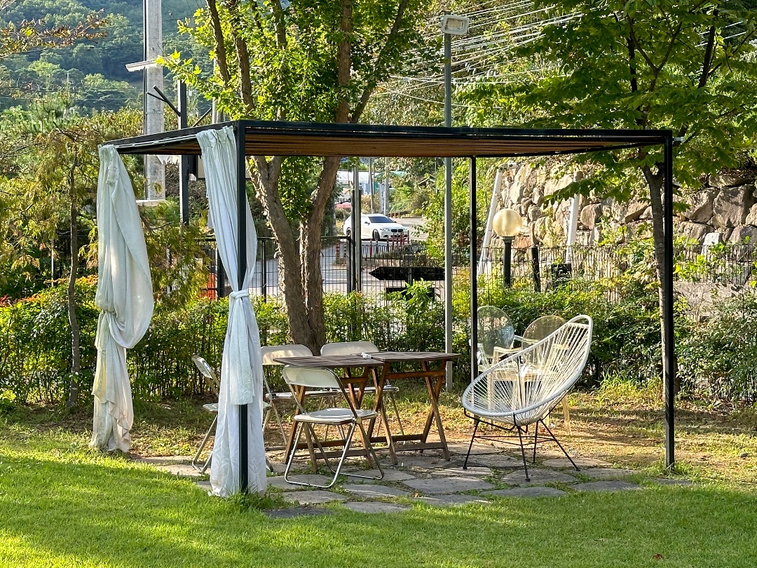 김냇과 반려동물 동반 애견카페