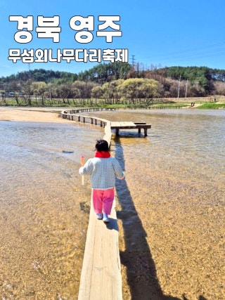 반시