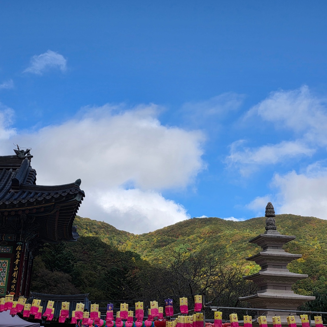 상원사 전경 3
