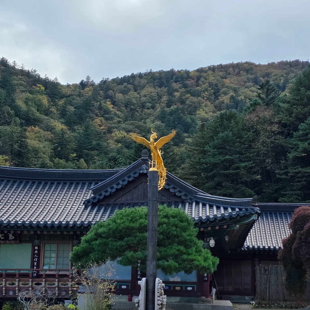 상원사 전경 2
