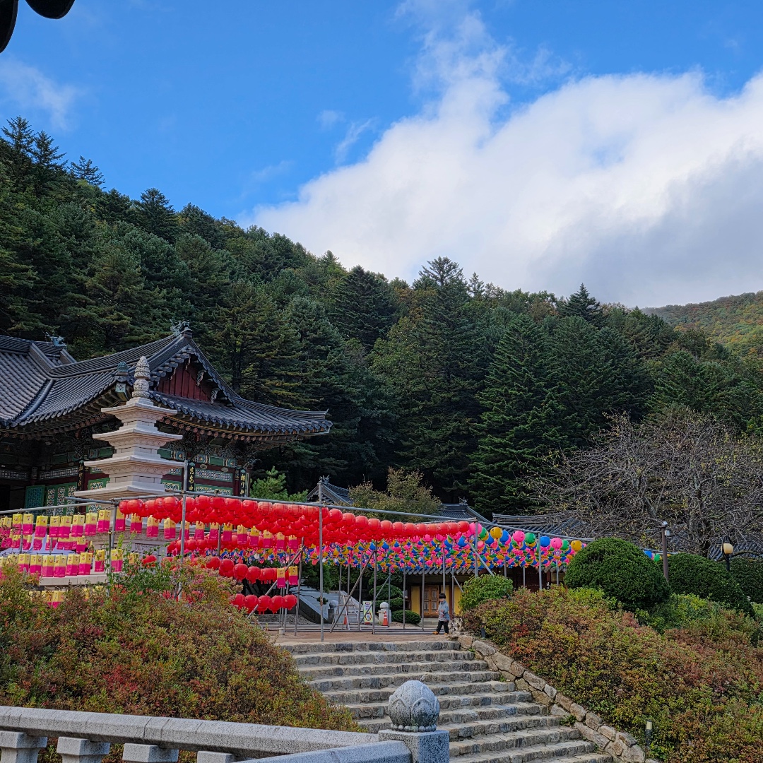 상원사 전경 1
