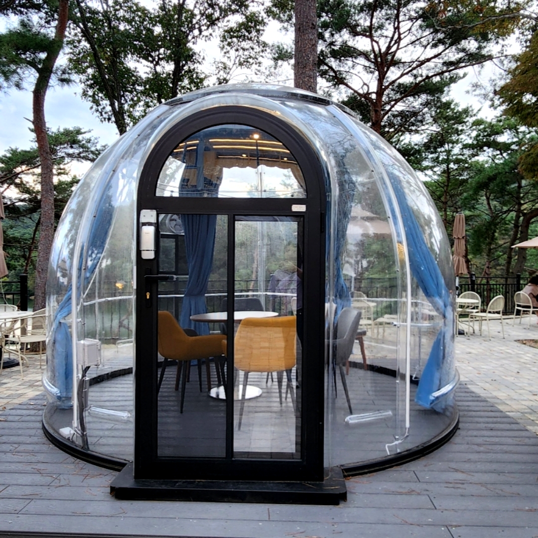 라드독 8