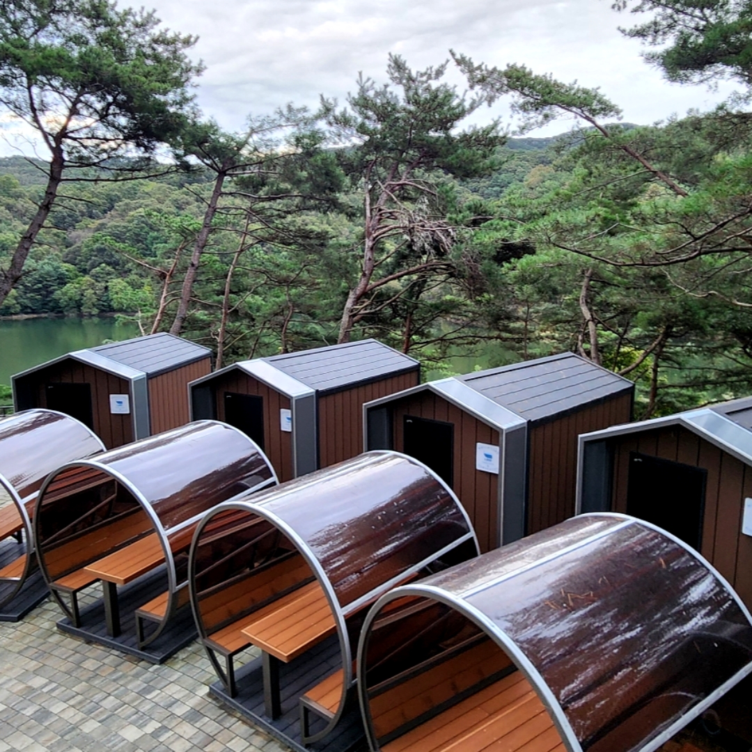 라드독 9