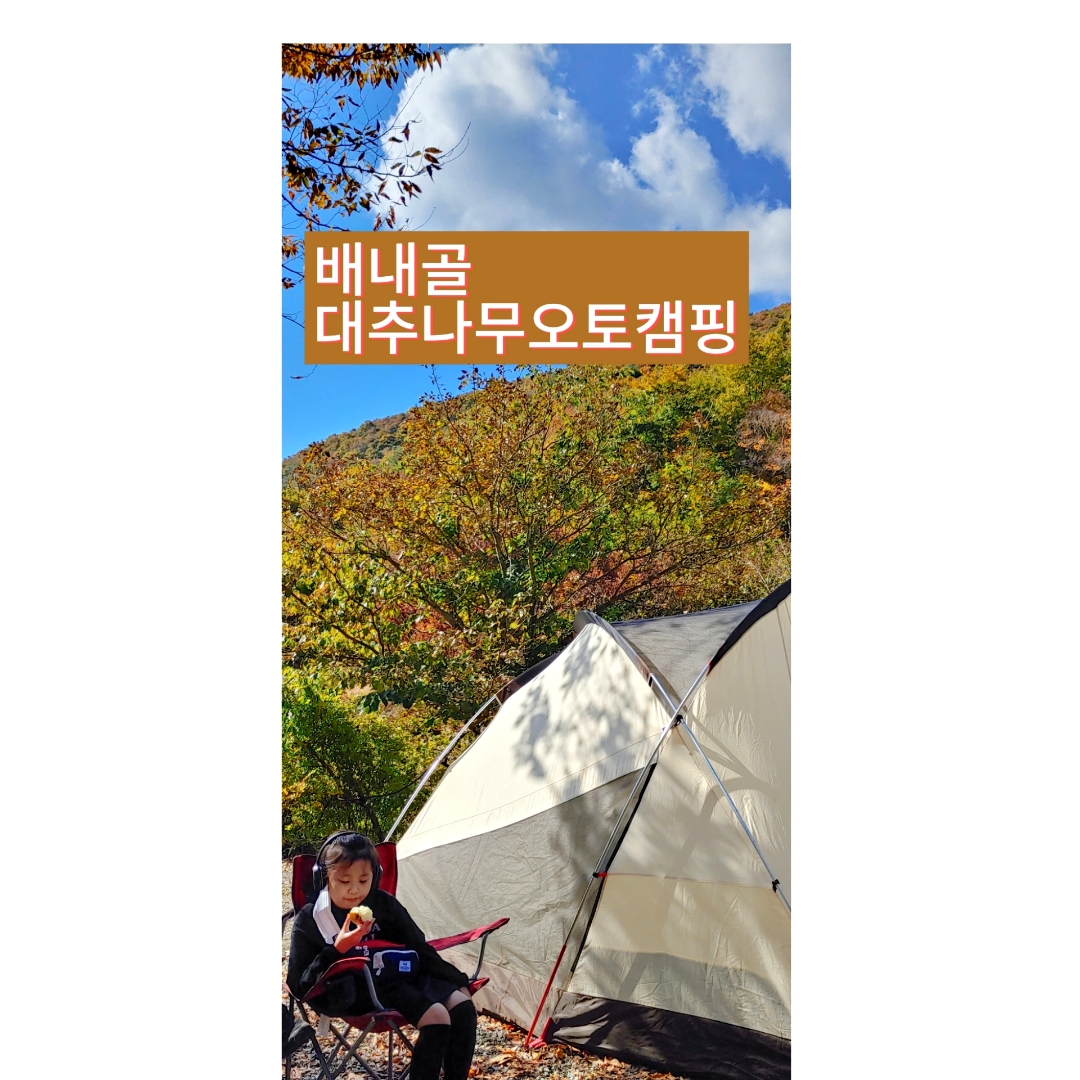배내골대추나무오토캠핑장
