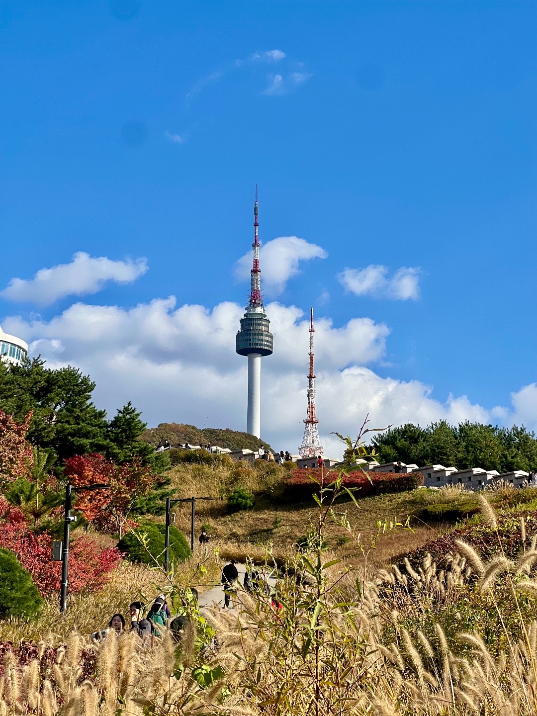 남산 서울 전경