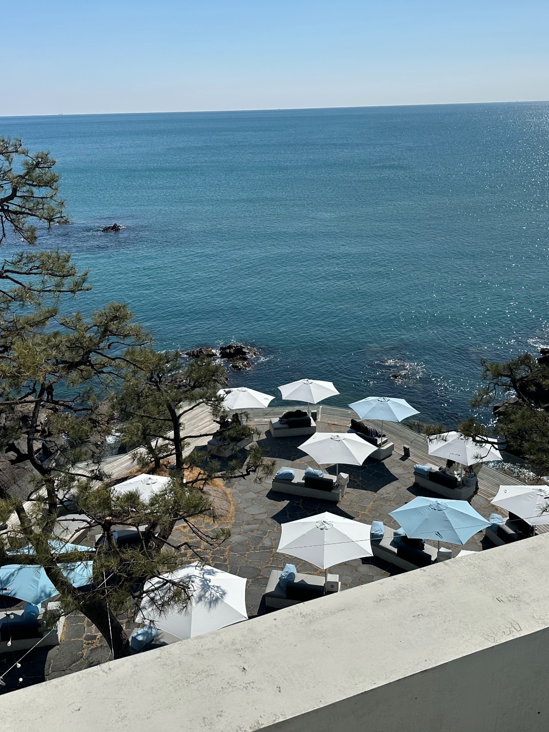 도그캠프 공항점 10