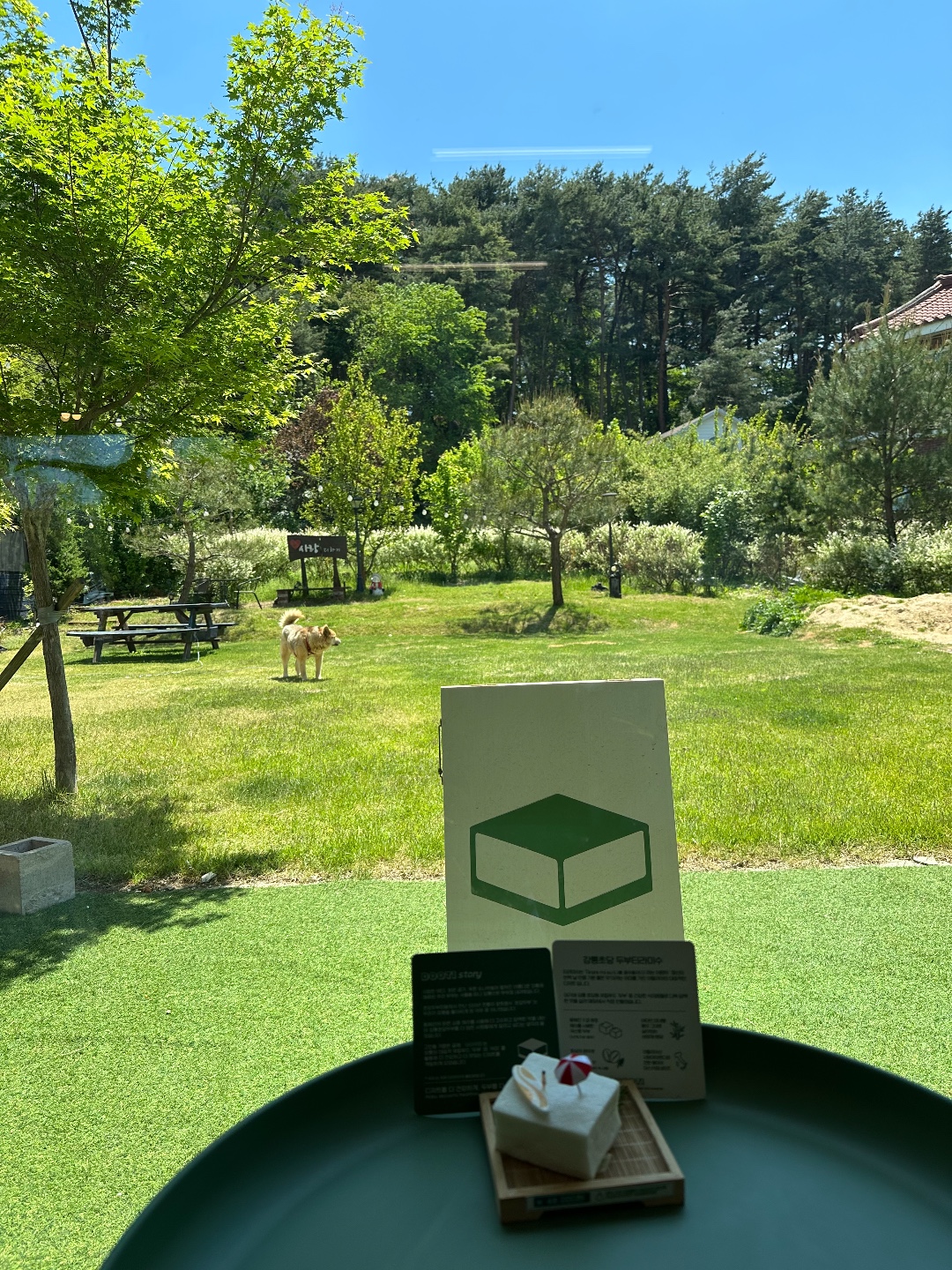 제주돗날 8