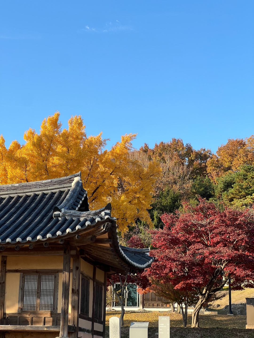 부소산 부여 전경 1