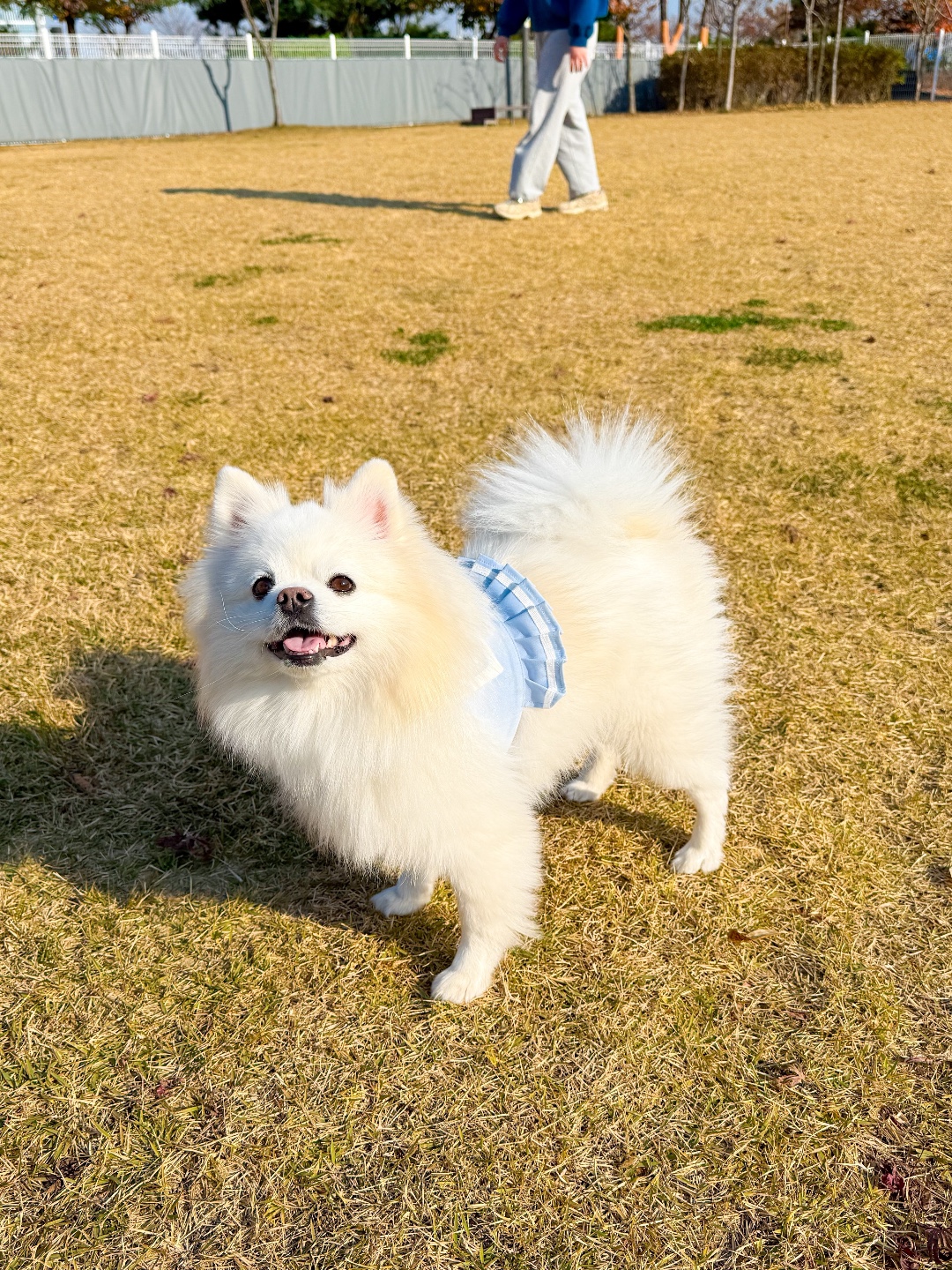 테일더블루 2