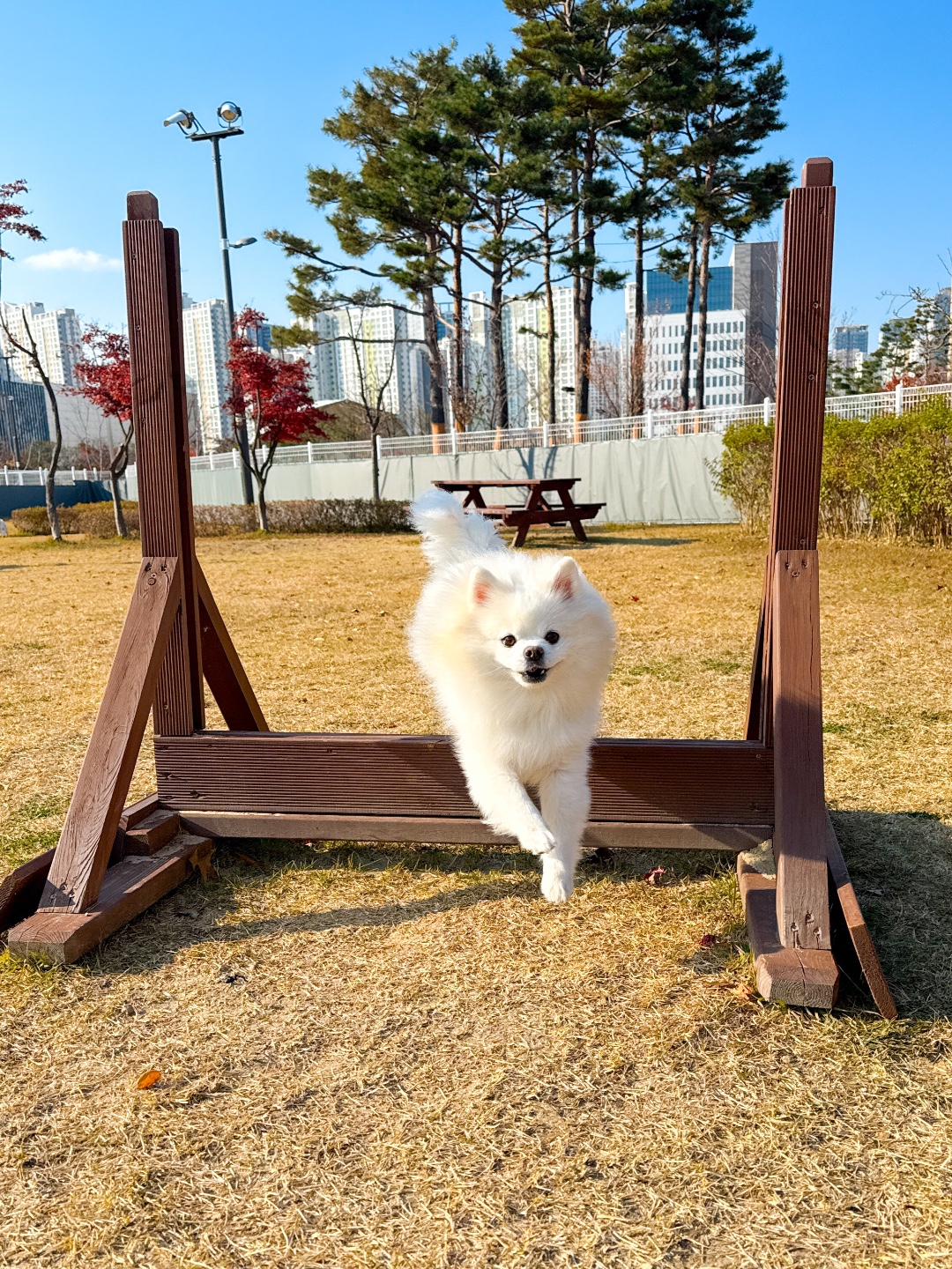 테일더블루 3