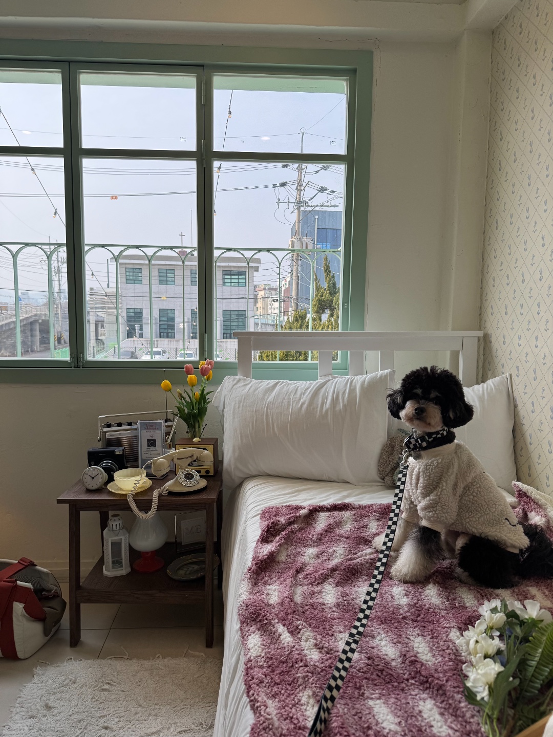 관청너머 8