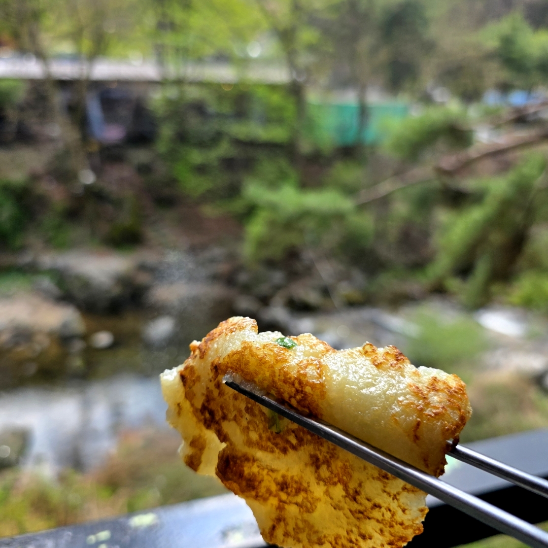 축령산계곡 나르지오 애견 리조트 2