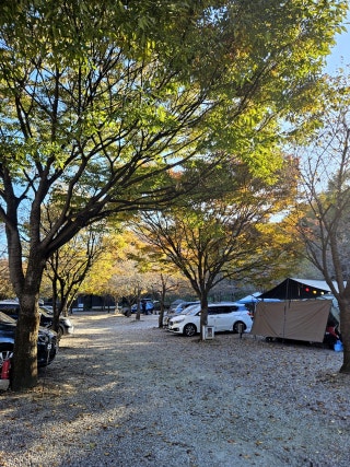 율곡관광농원 캠핑장