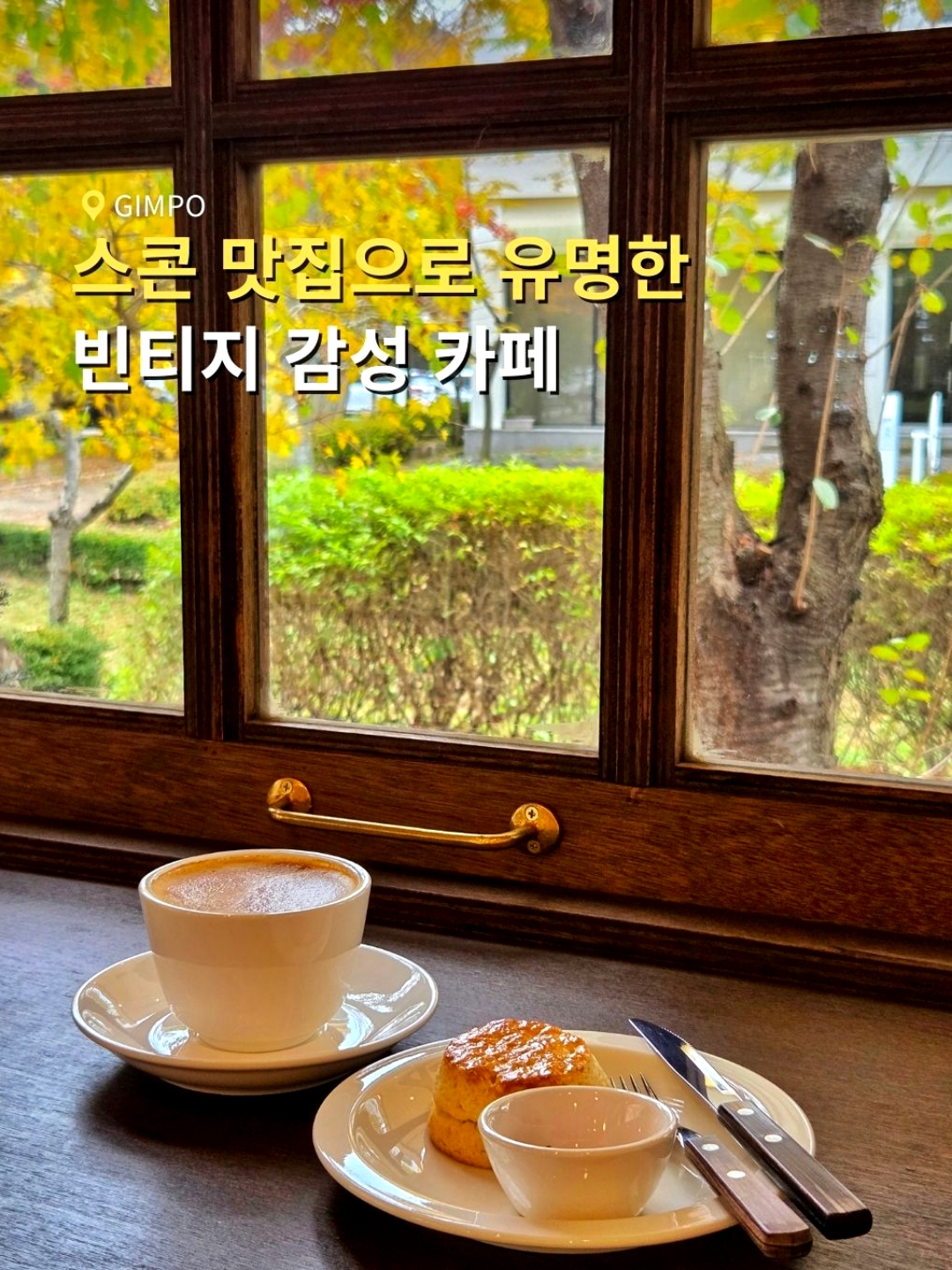 카페대피 8