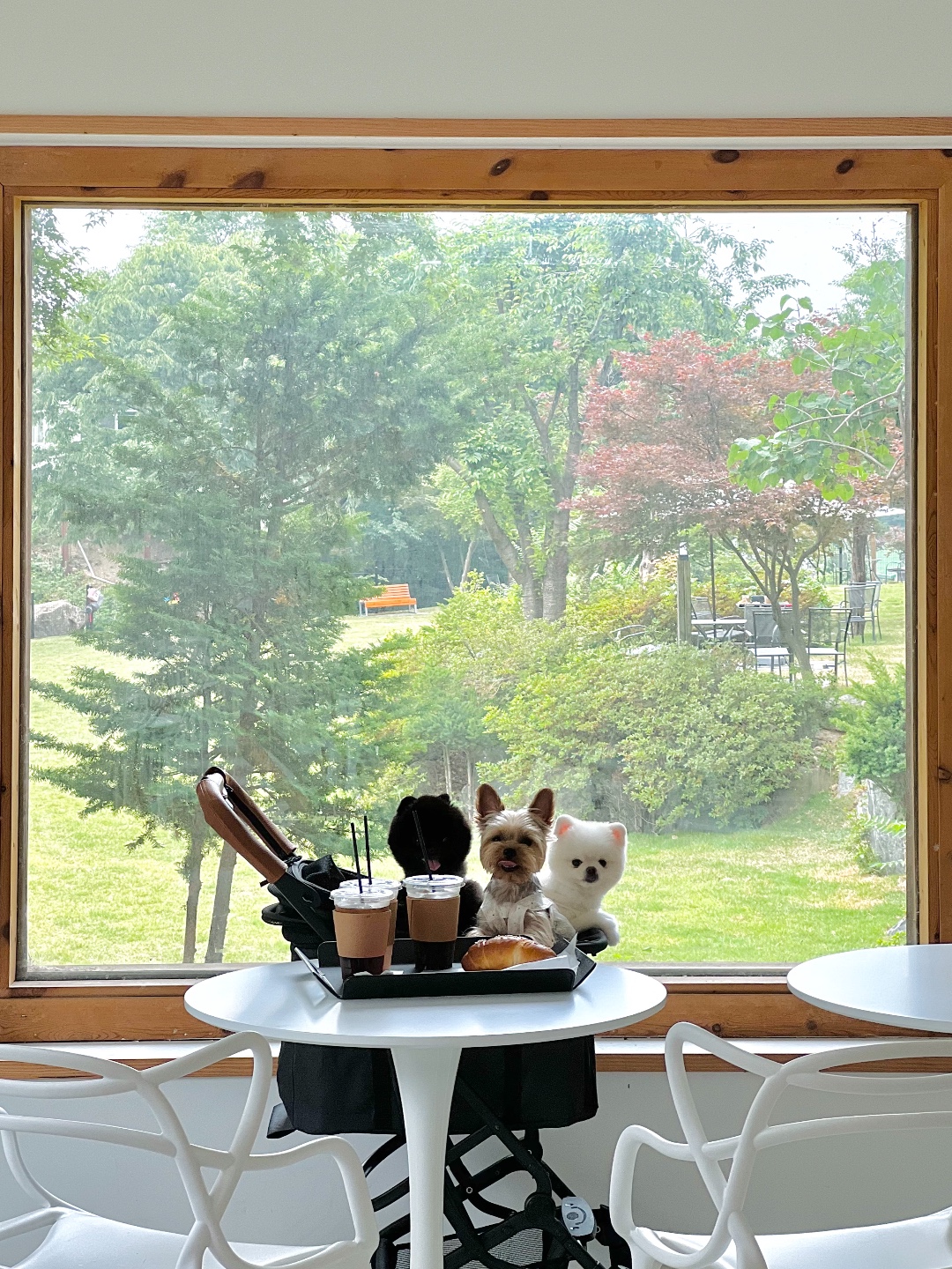 명동칼국수샤브샤브 킨텍스2전시장점 2