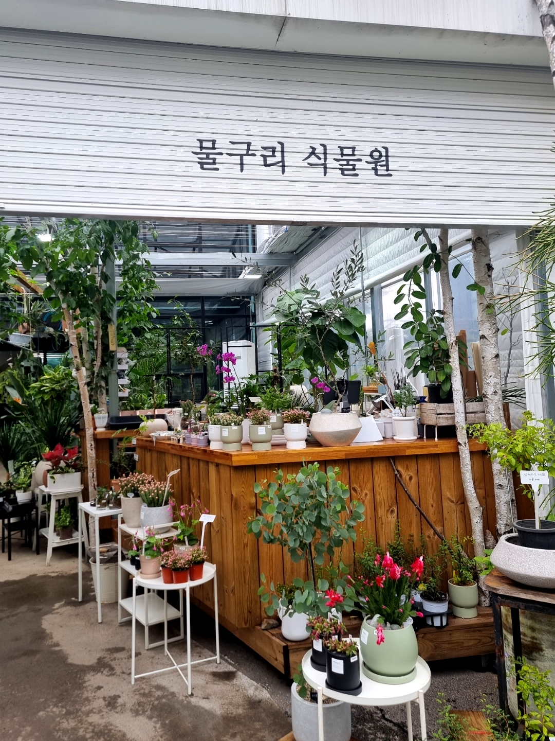 비숲 8