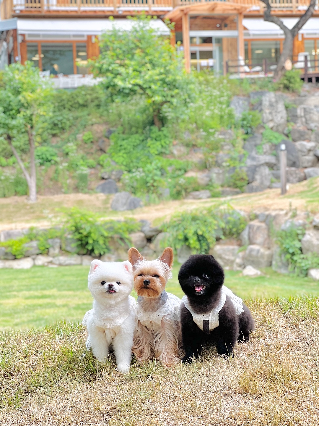 명동칼국수샤브샤브 킨텍스2전시장점 9