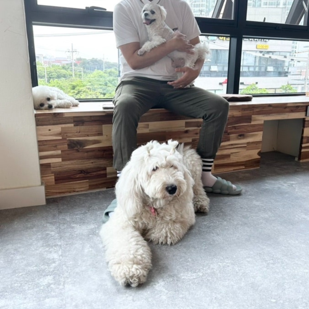 소코아 김포한강신도시점 9