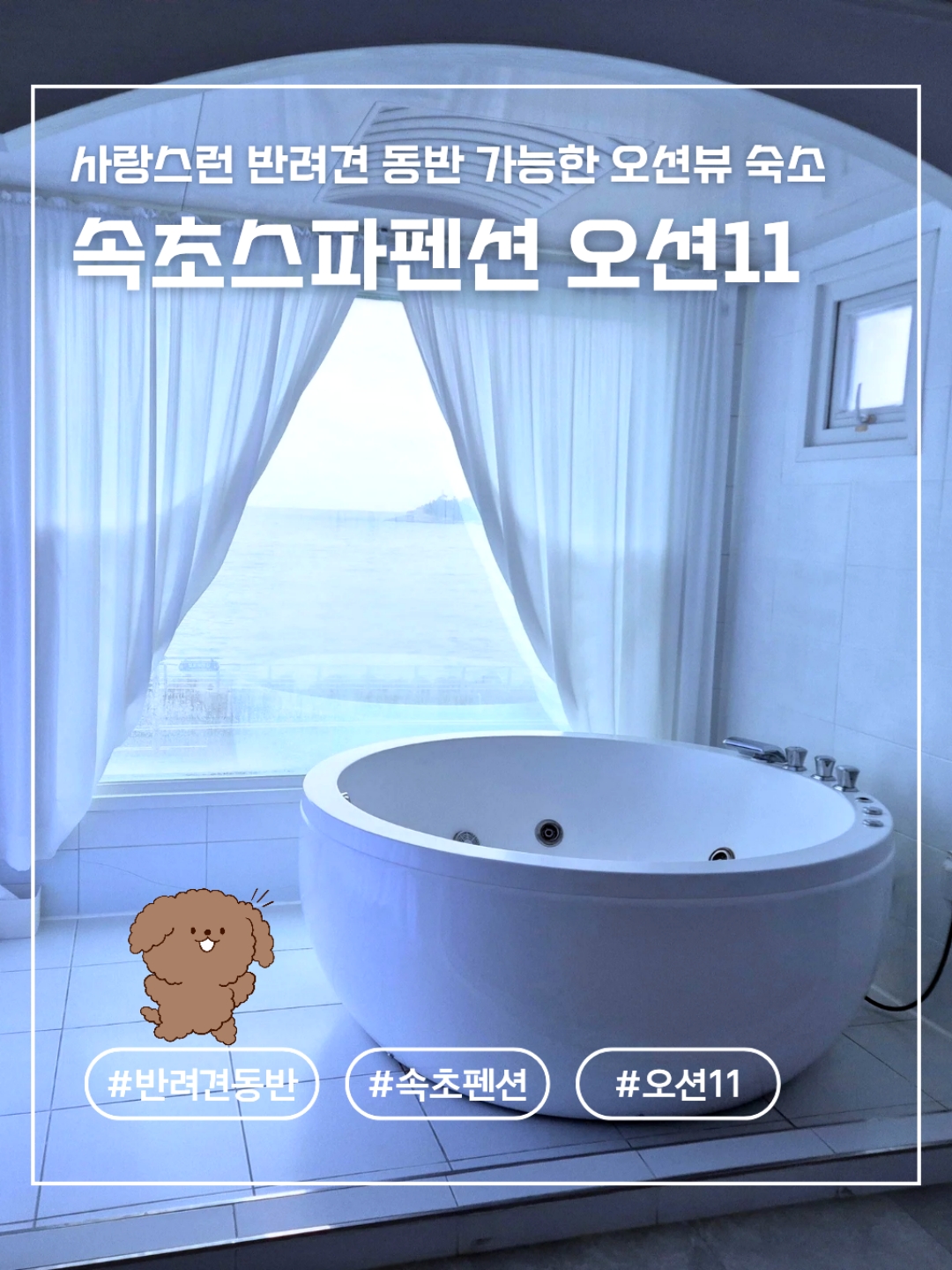 오션11 강원 애견숙소