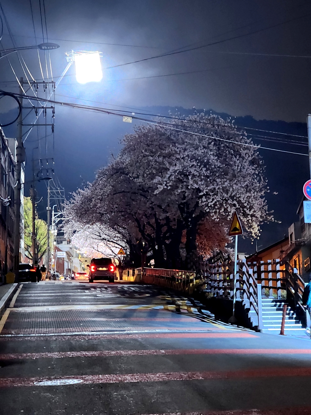 #오늘클립챌린지  부산개금에도 벚꽃만개!  #반도아파트