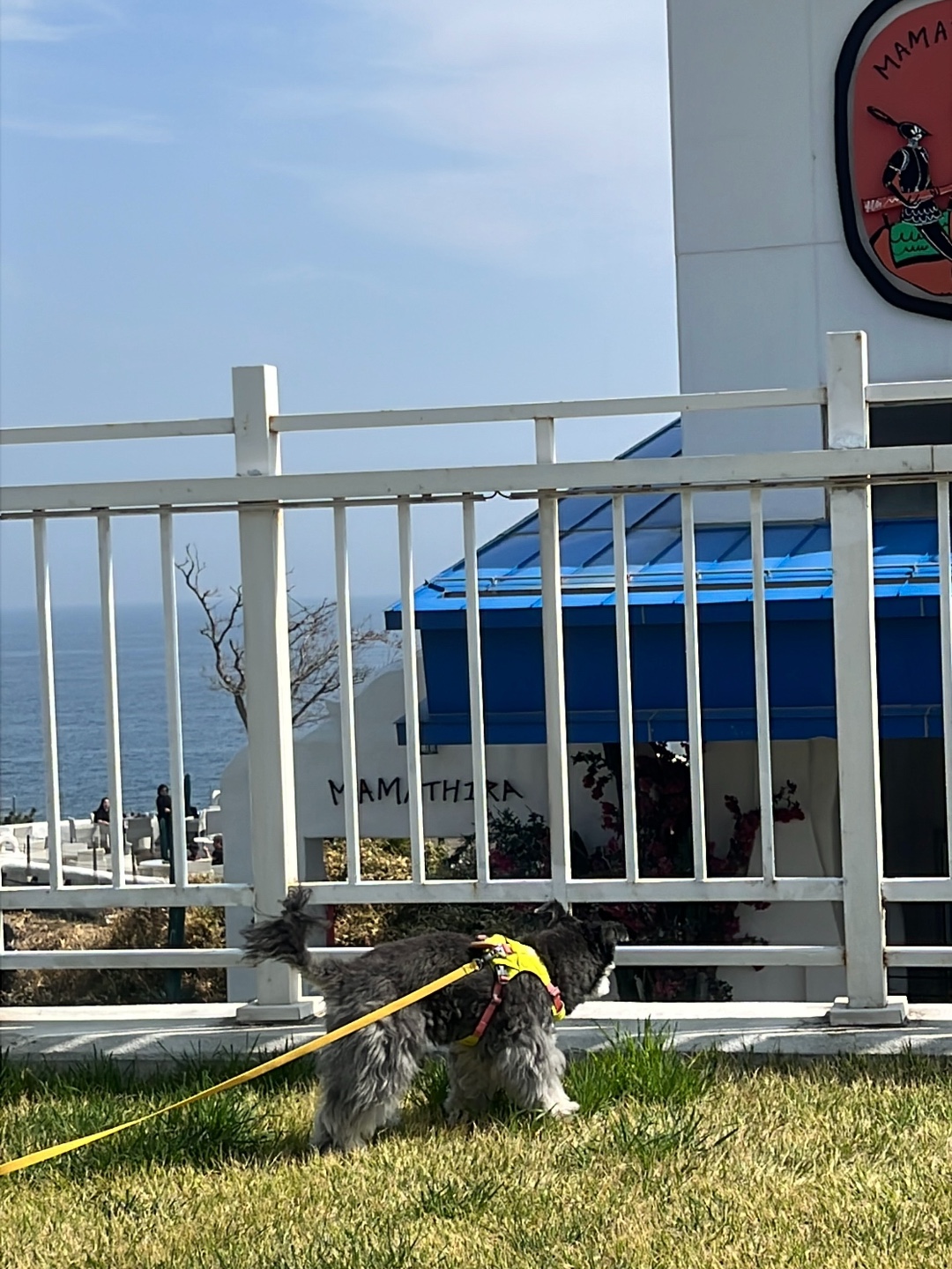 커피사피엔스 과천센텀스퀘어점 10