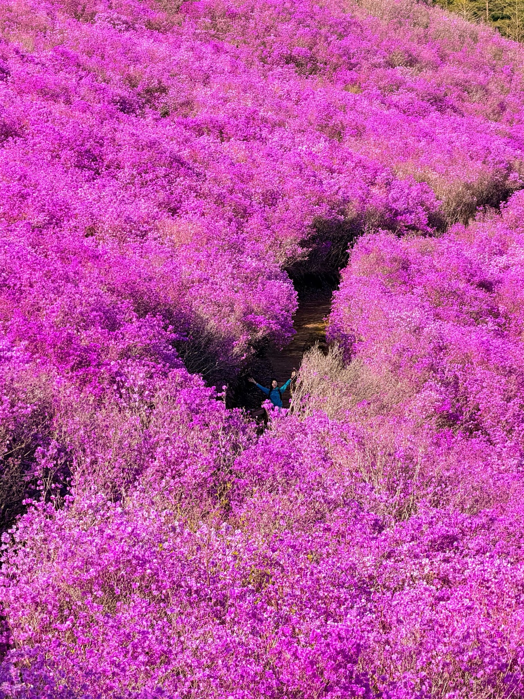 화왕산 창녕 전경 2