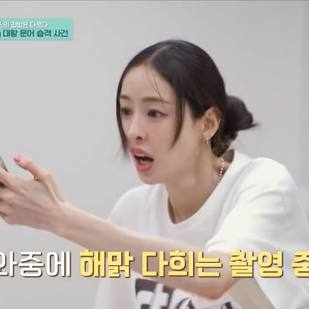 #오늘클립챌린지 Ep5 잠깐! #구기동프렌즈 18kg 대왕문어가 구기동프렌즈에 나타났다 #pd91 #pd91tv