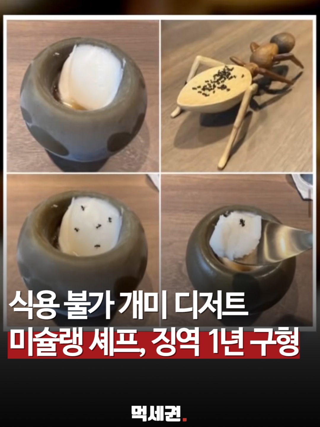 4. 安全な食用昆虫と違法食材 4. 安全な食用昆虫と違法食材