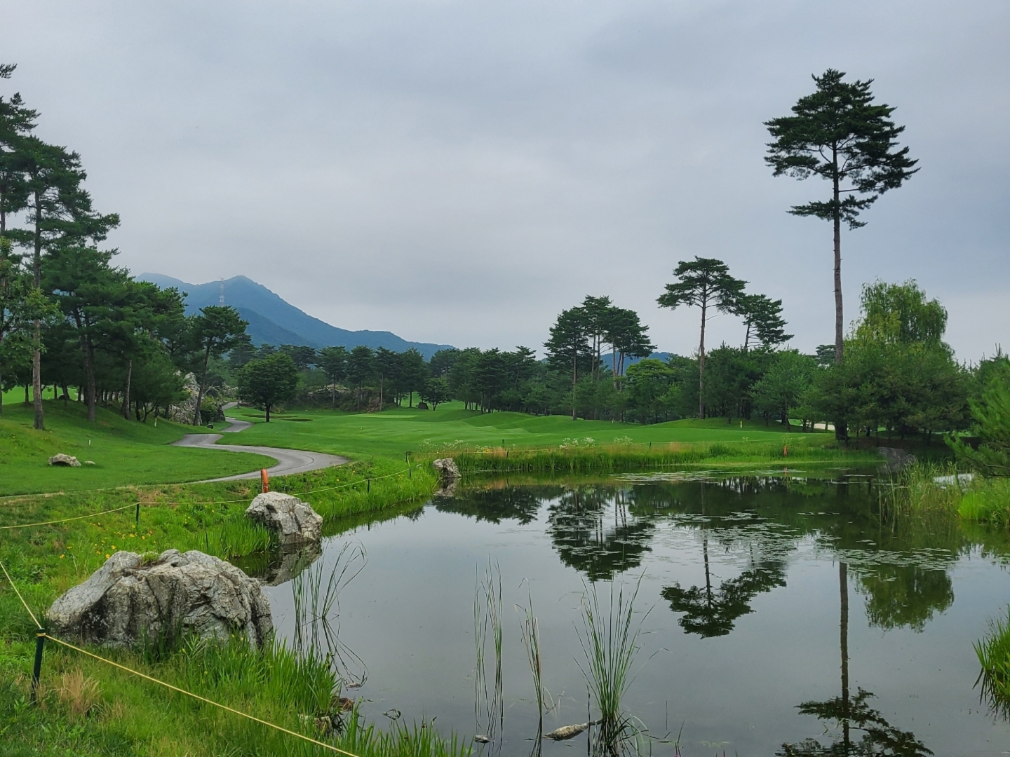금강센테리움(주)