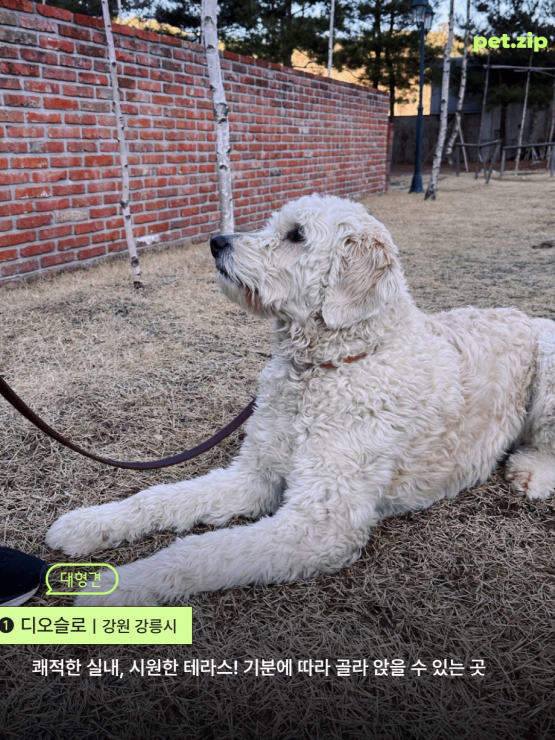 효교 향동점 10