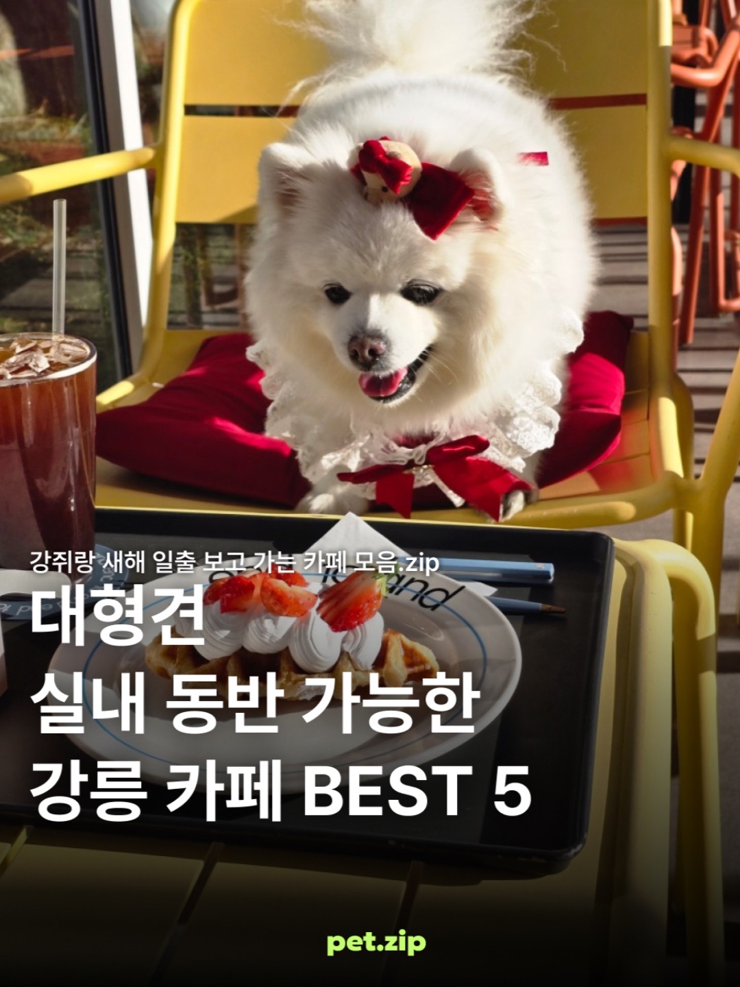 힐하우스커피&바비큐 9