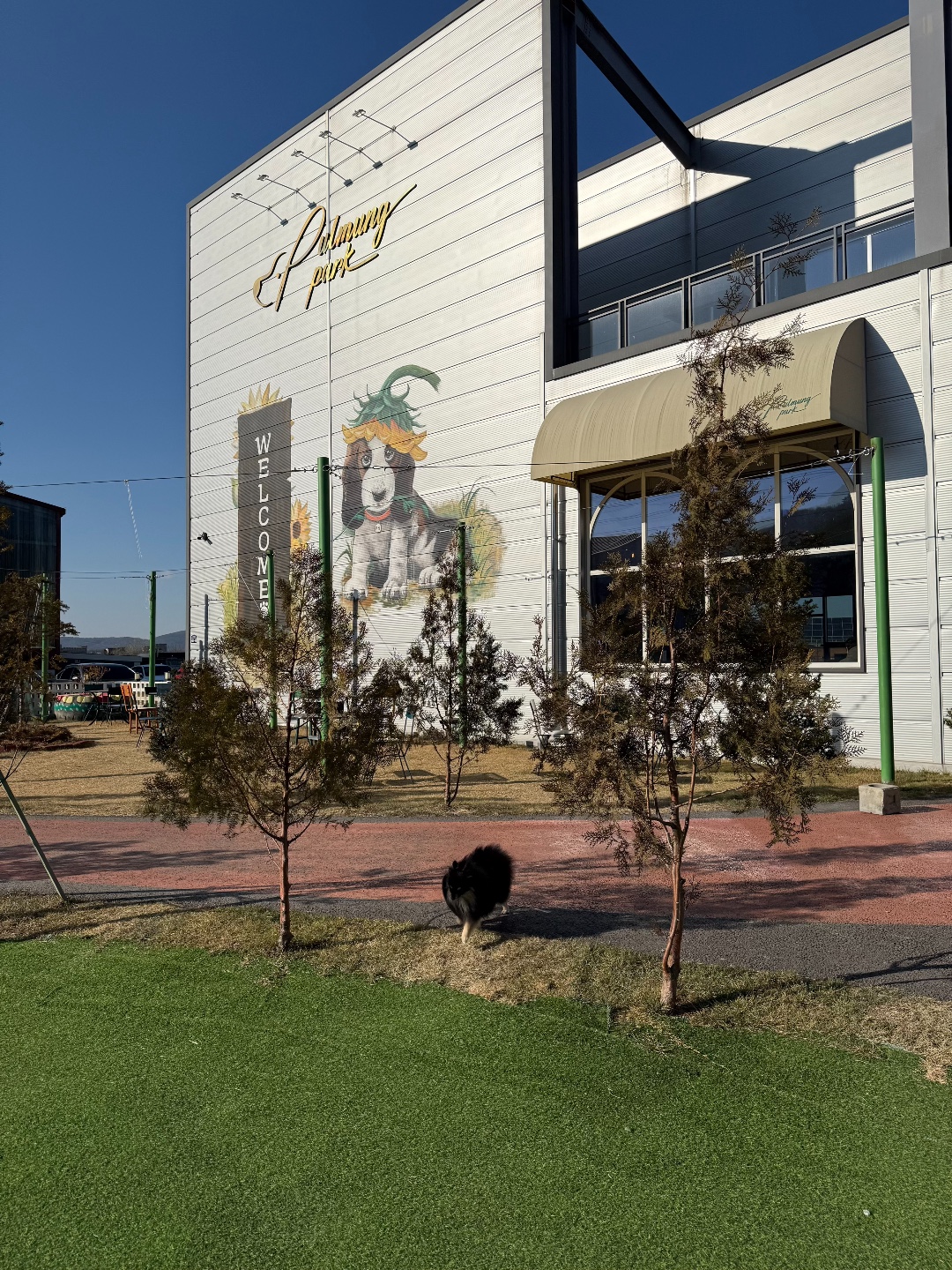 투개더파크 반려동물 동반 애견카페