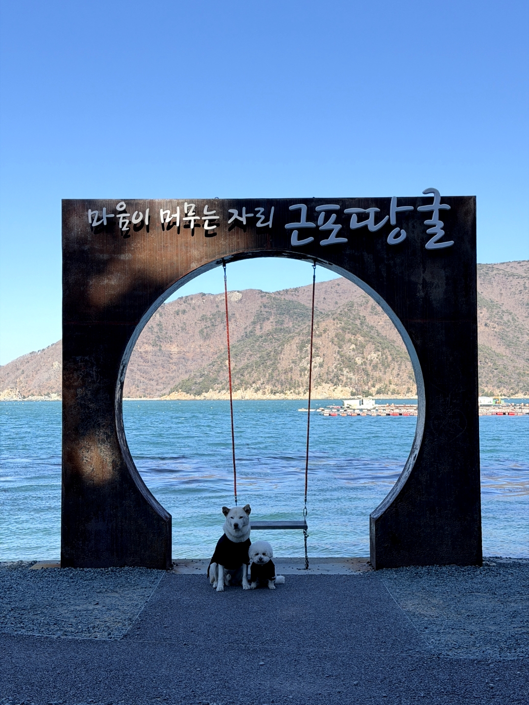 도그포레 반려동물 동반 애견카페
